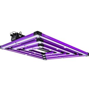 lumatek-led-ats300w-pro_.jpg