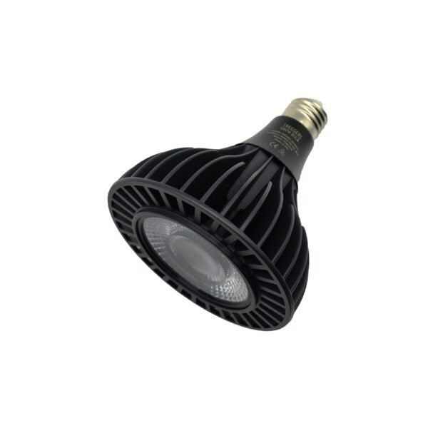GB30WLEDGROWBULB2.jpg