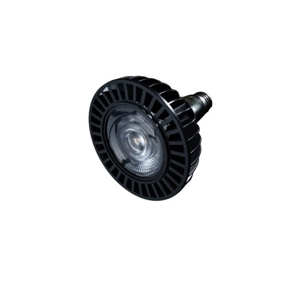 GB30WLEDGROWBULB5.jpg