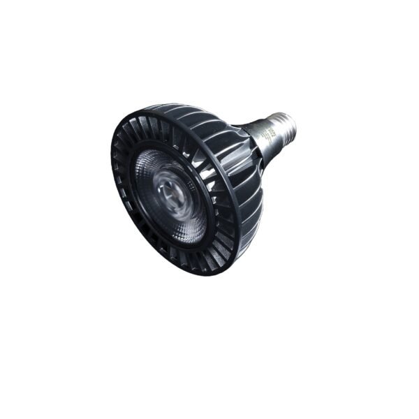 GB30WLEDGROWBULB6.jpg