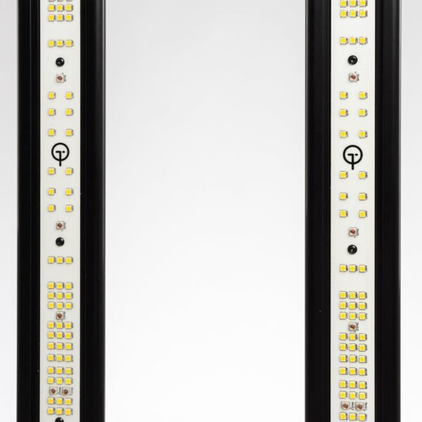 GL300W6.jpg